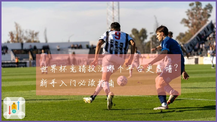 世界杯竞猜投注哪个平台更靠谱？新手入门必读指南